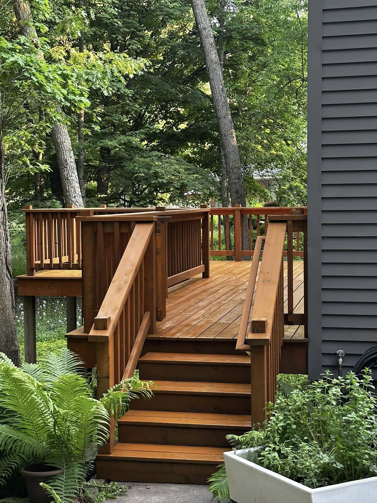 Stained wood deck with railing and stairs surrounded by mature trees and ferns